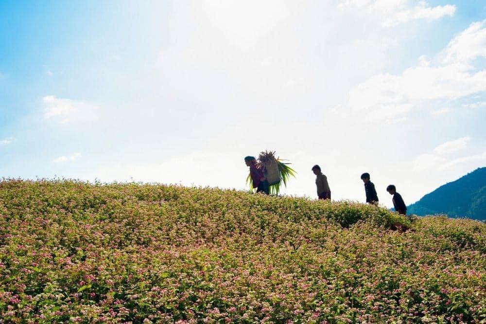 Hoang Su Phi Trekking Tour 3 Days
